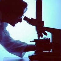 The pathologist assigns the prostate cancer stage.